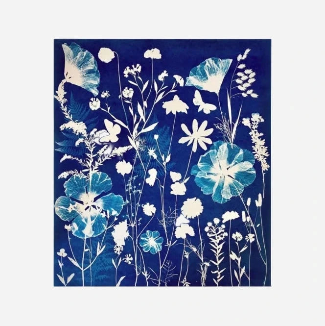 Jacquard Cynotype 2 Part Sensitizer Set