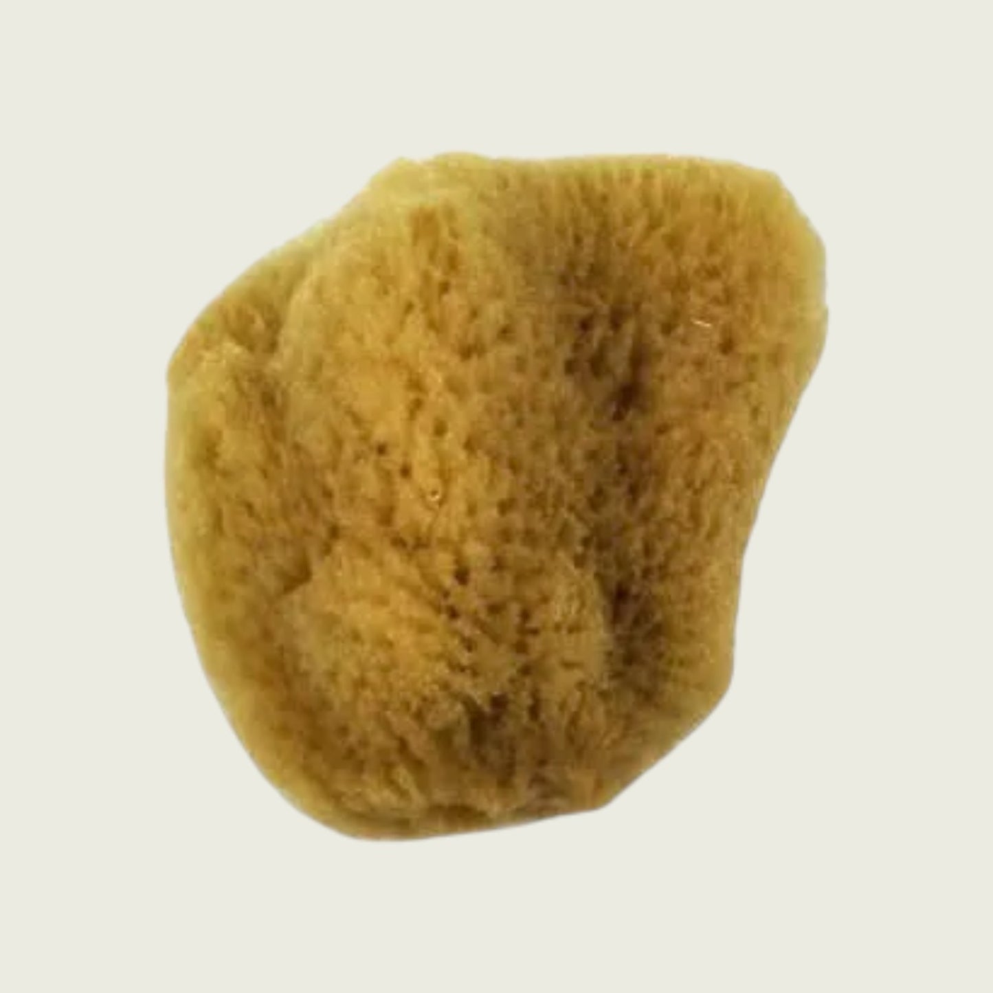 Royal & Langnickel Artist Sea Silk Sponge - Various sizes