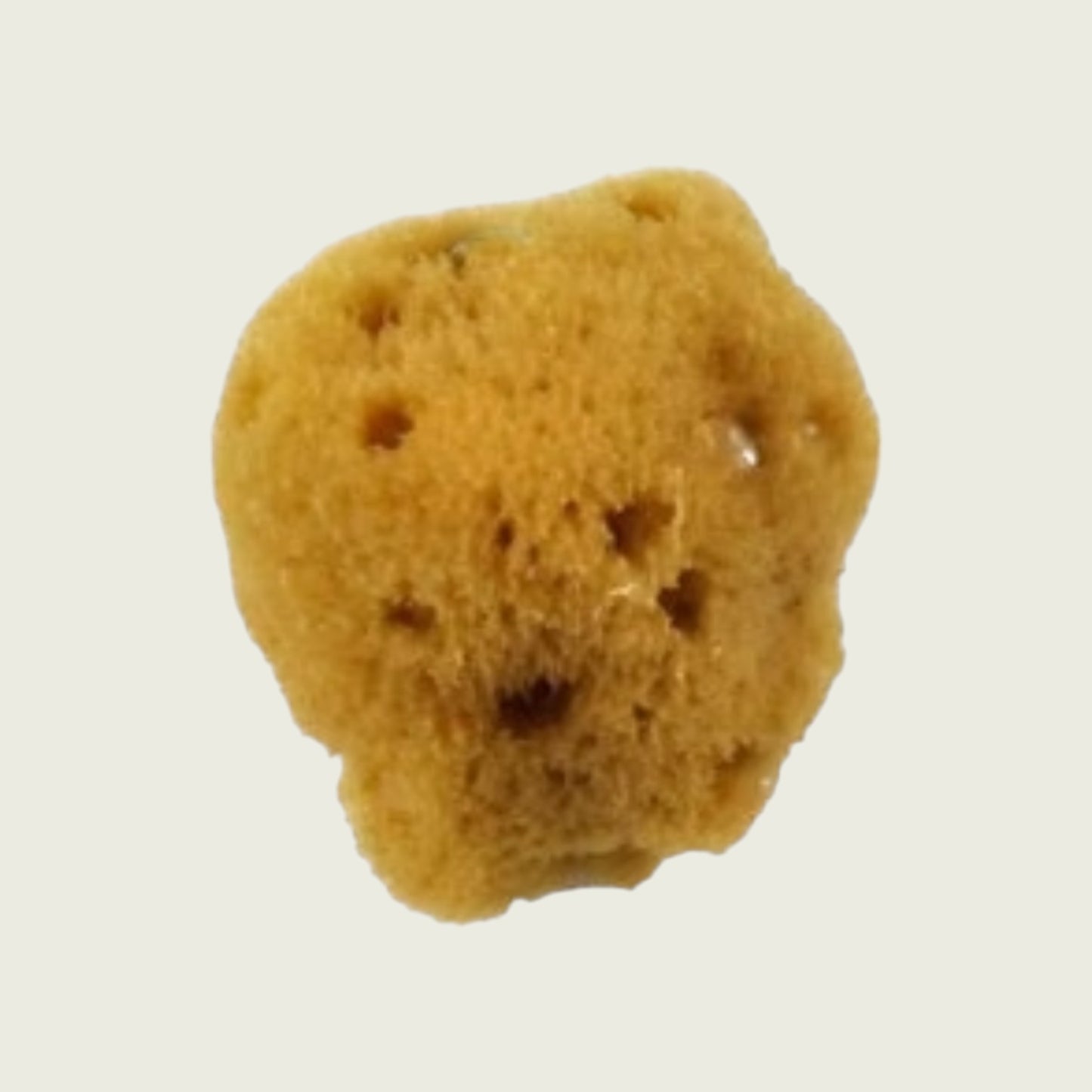 Royal & Langnickel Artist Sea Silk Sponge - Various sizes