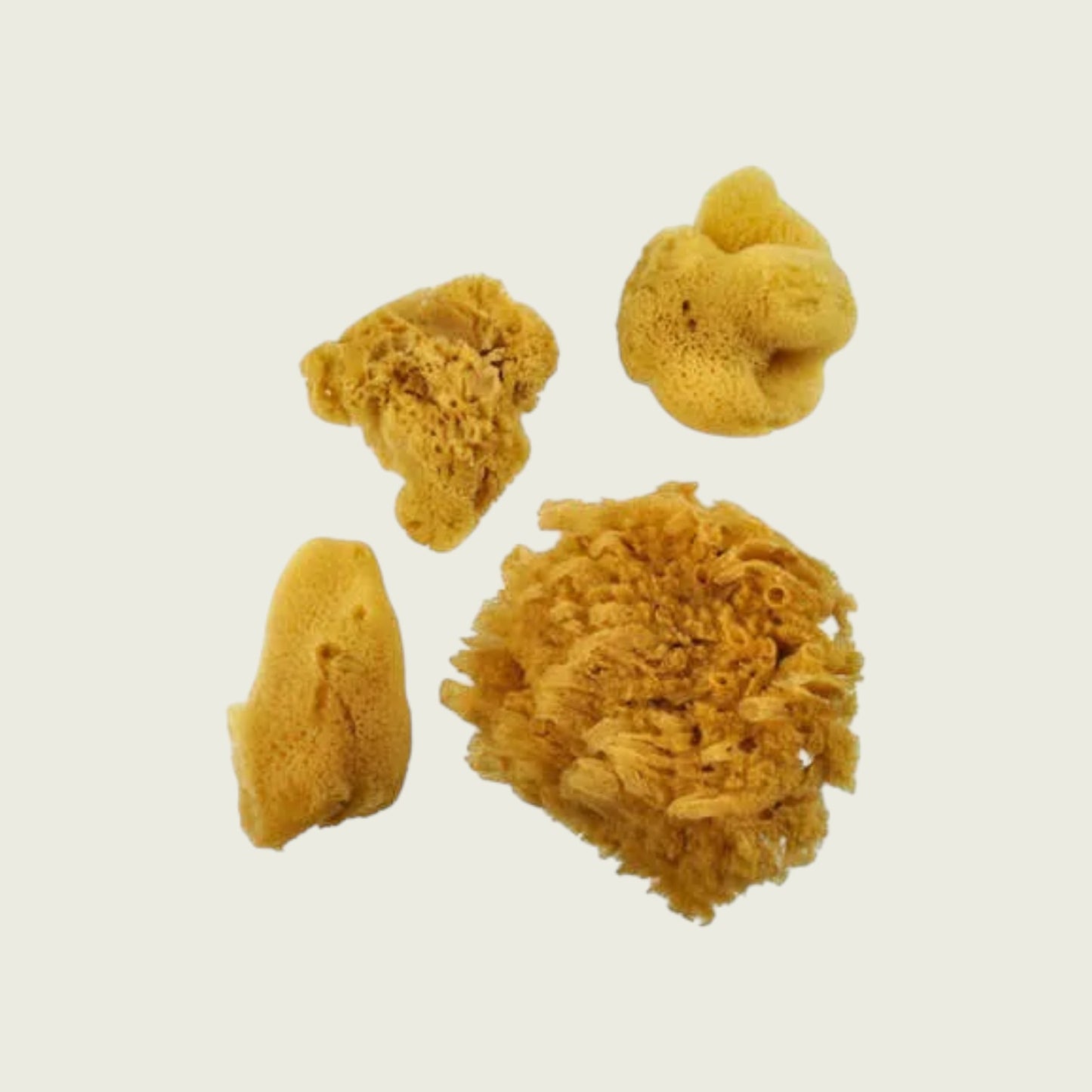 Royal & Langnickel Artist Sea Silk Sponge - Various sizes