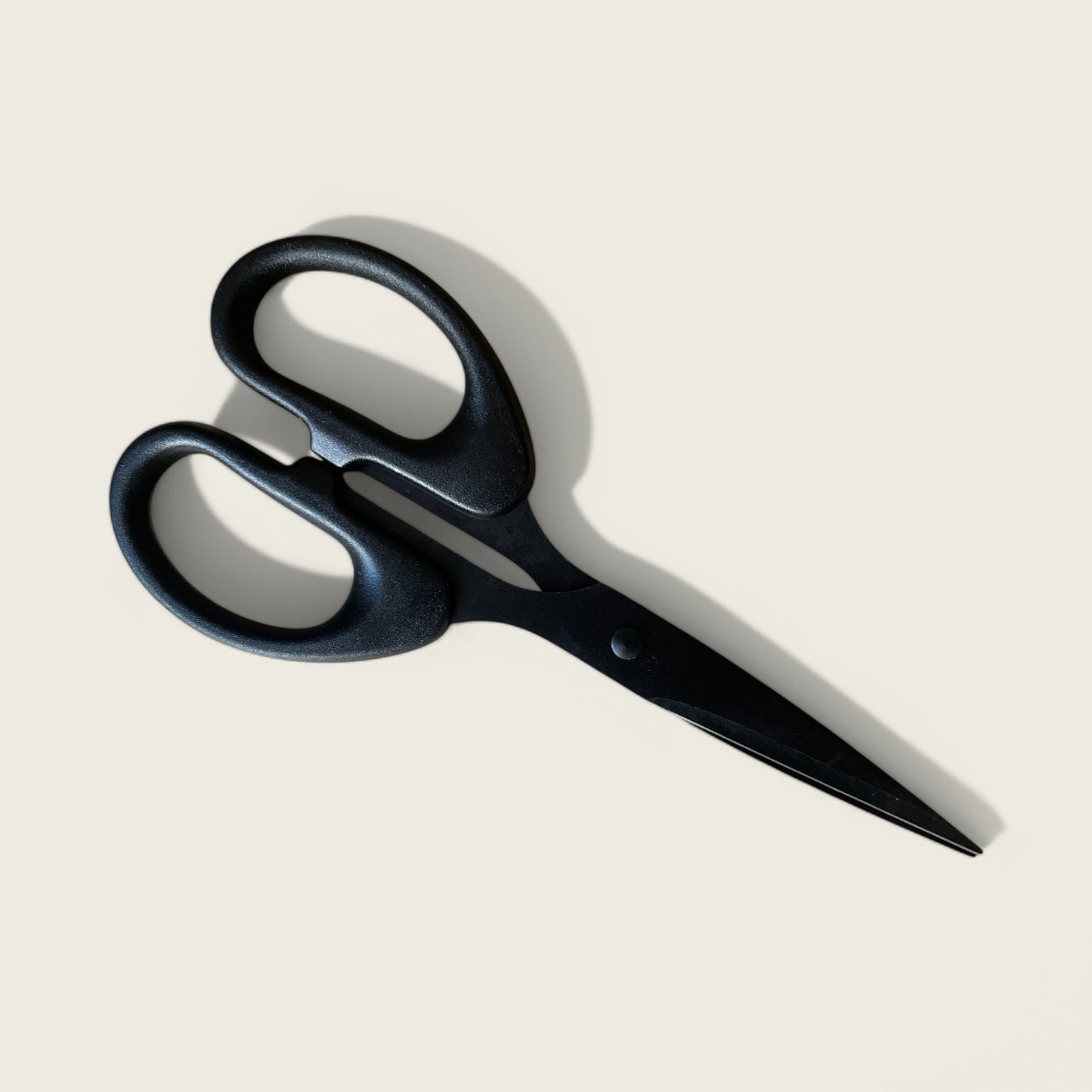 Stainless Steel Scissors in Matt Black