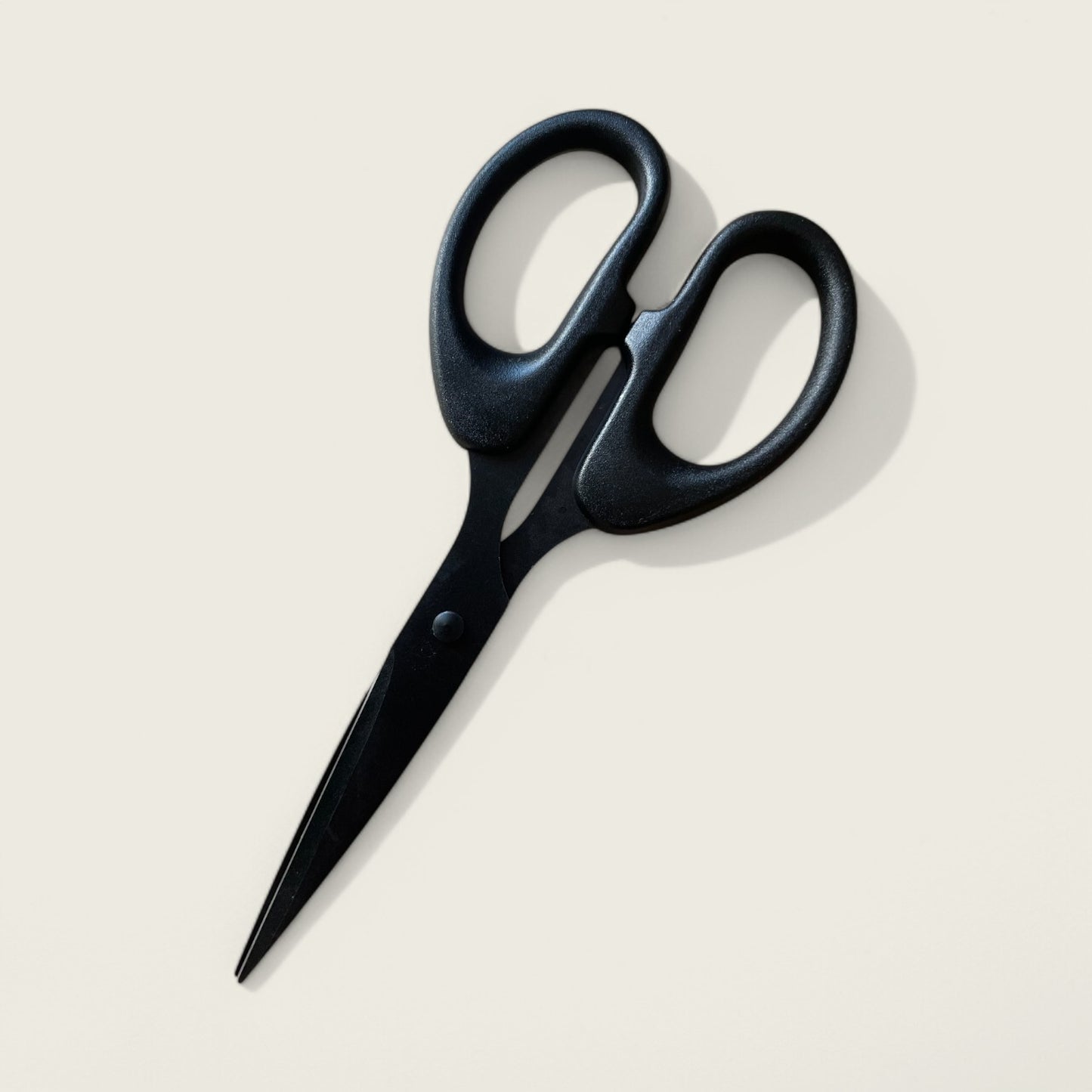 Stainless Steel Scissors in Matt Black