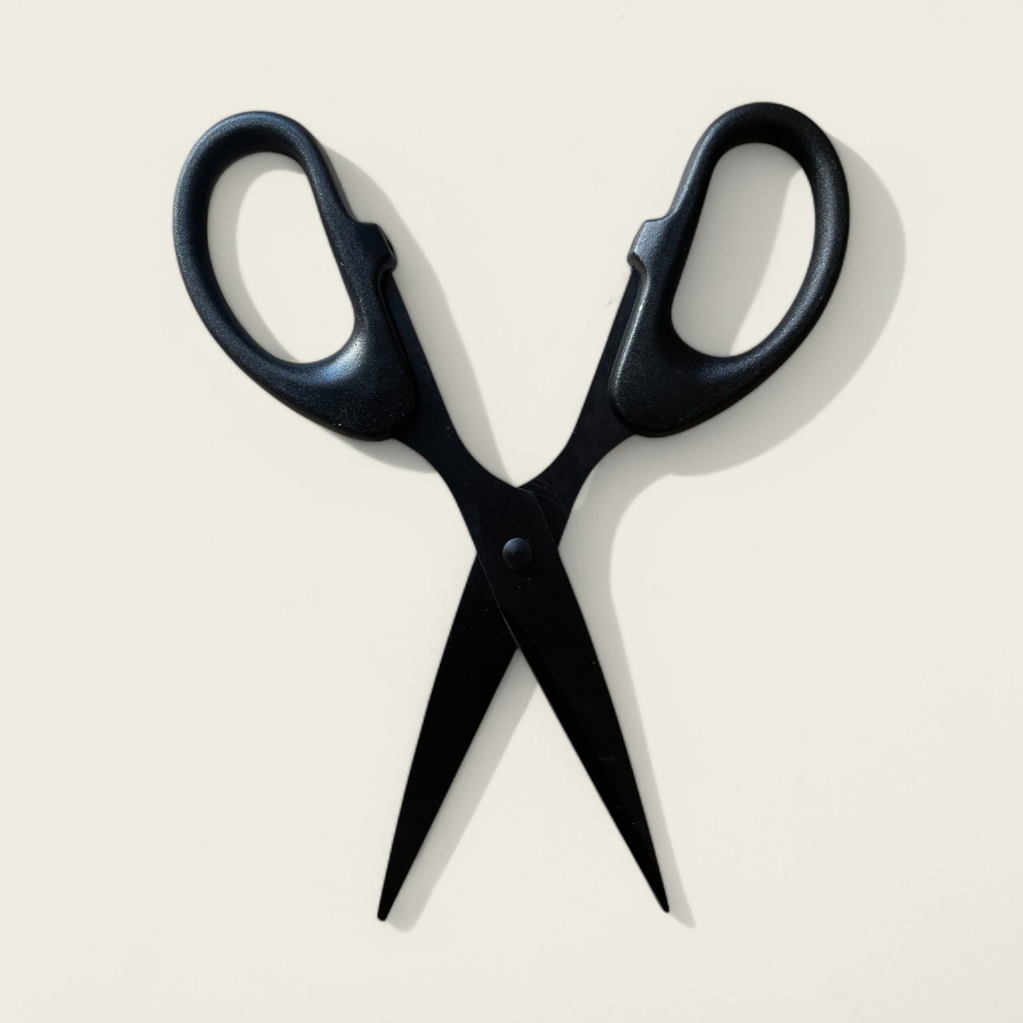 Stainless Steel Scissors in Matt Black
