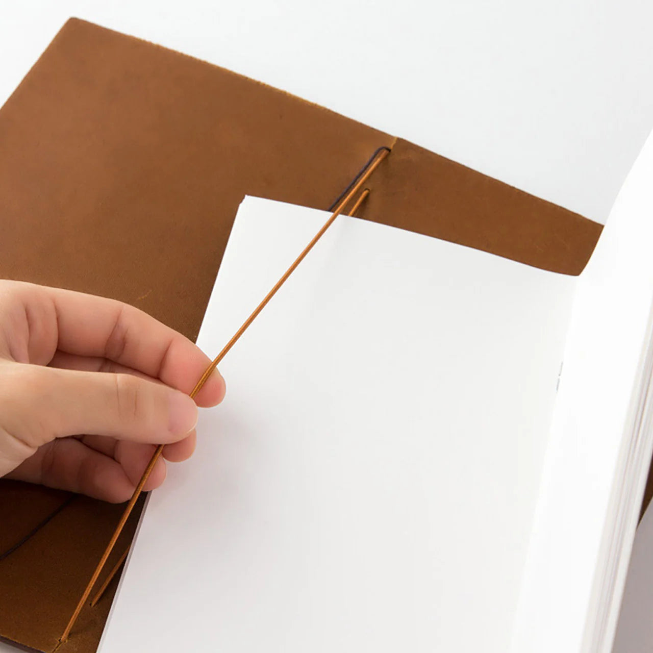 Traveler's Co. Notebook Refills - Daily Diary