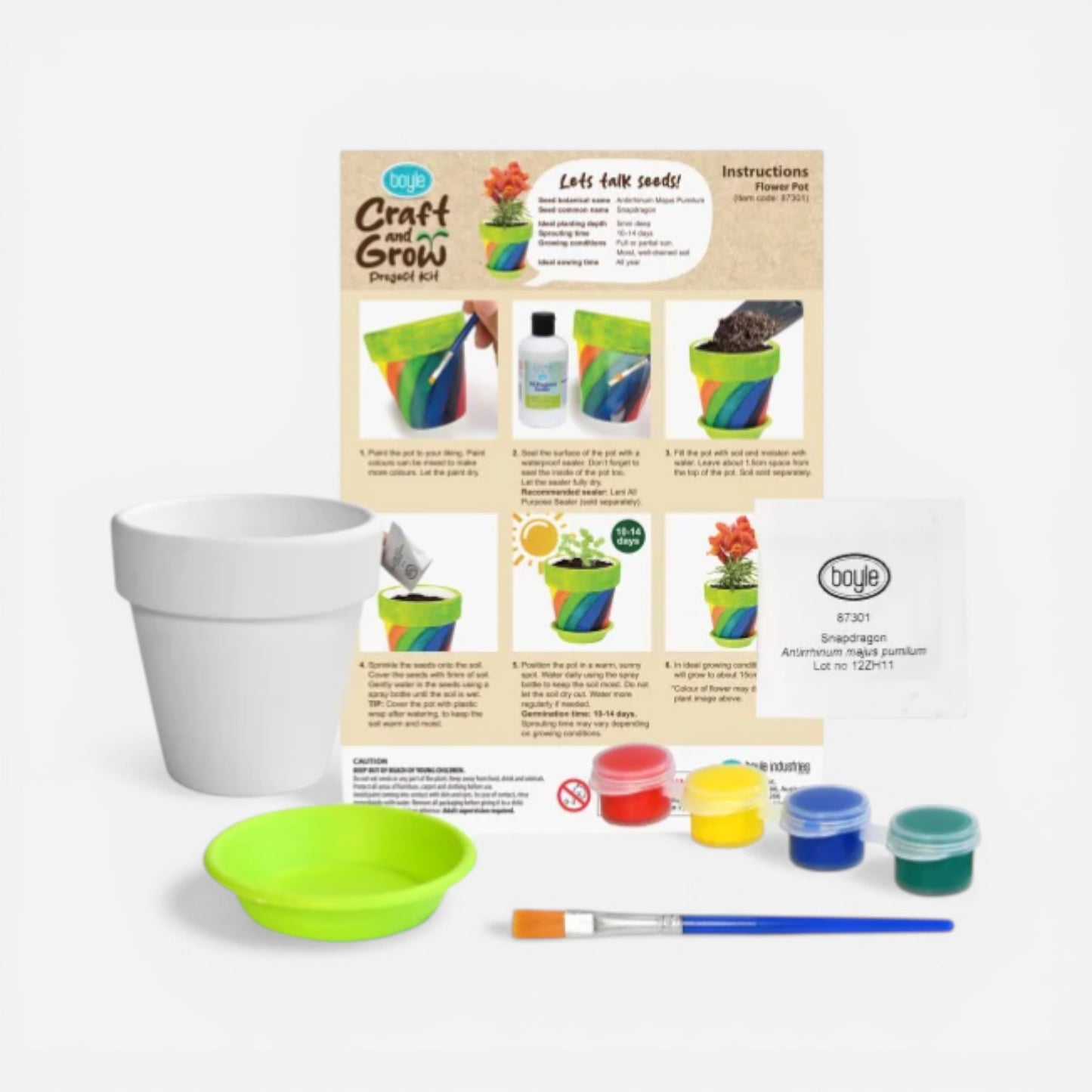 Boyle Craft & Grow Project Flower Pot