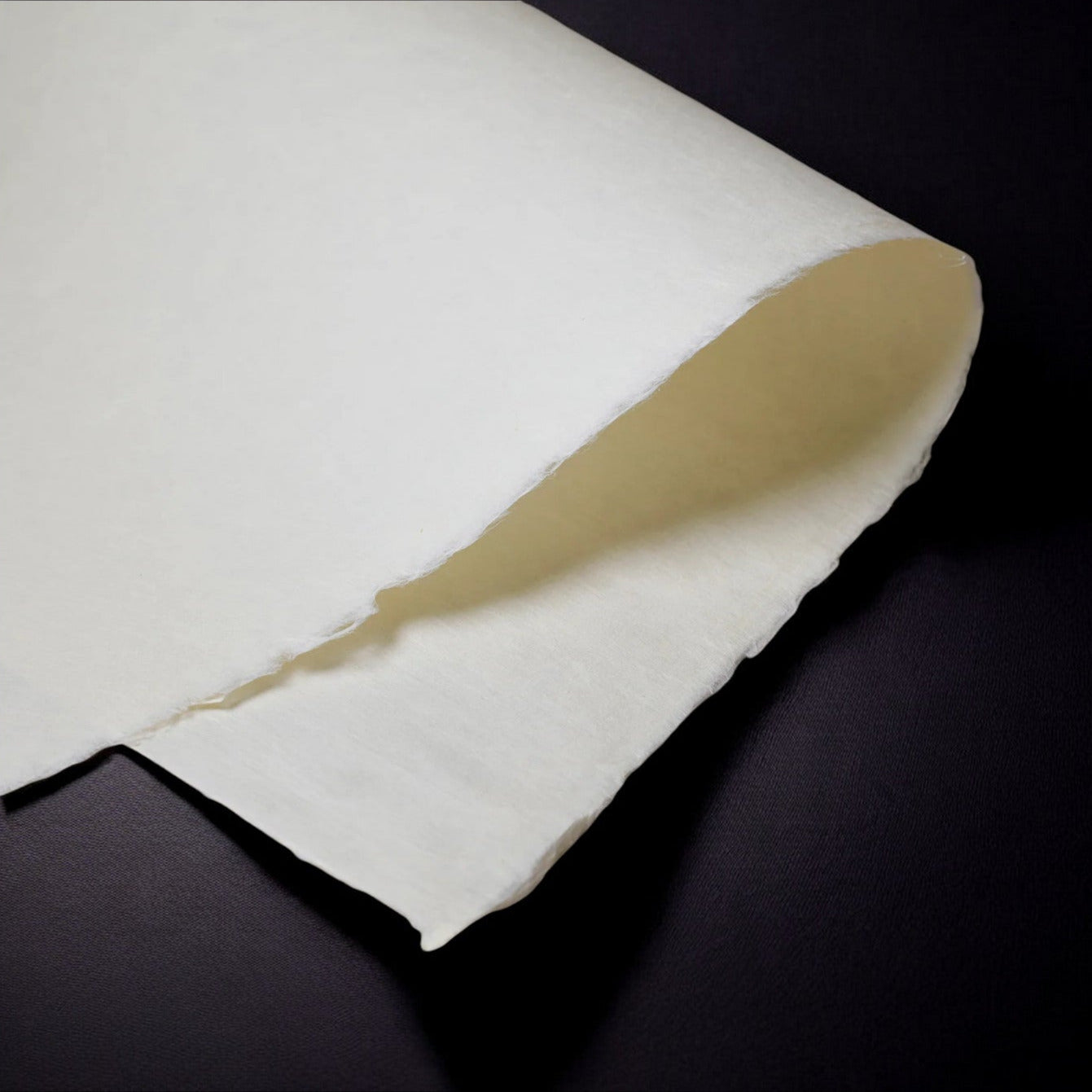 Hidakawashi Mulberry 55gsm Paper Roll 100cm x 10m