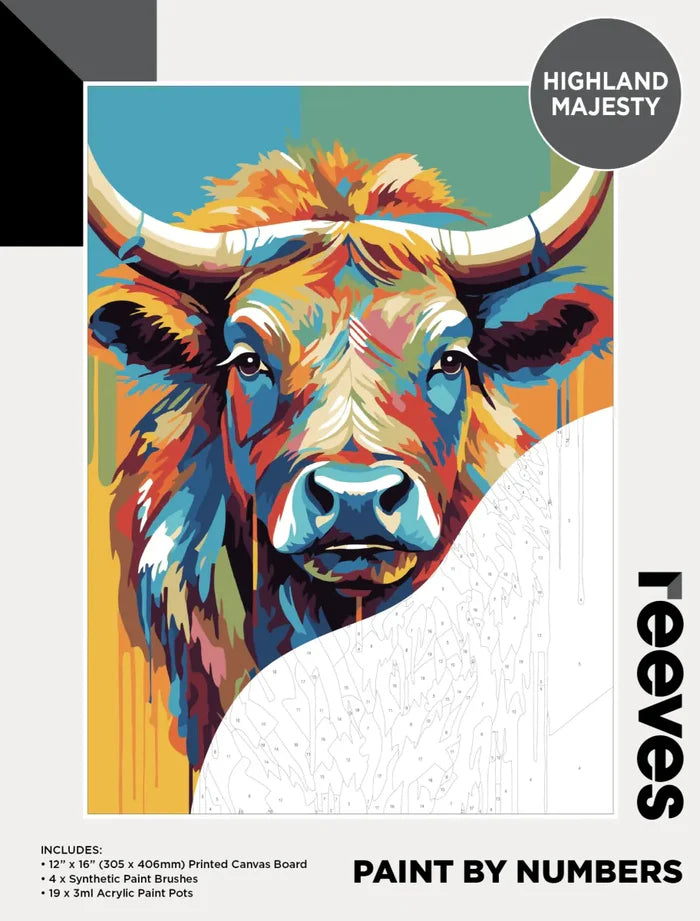 Reeves Paint by Numbers