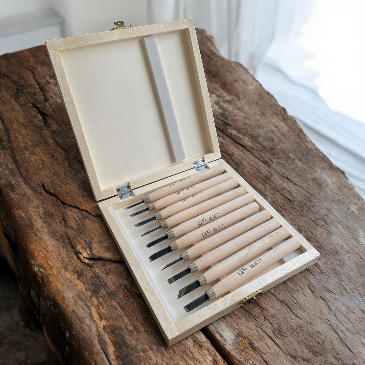 Woodpecker Wood Carving Tools Box Set of 10