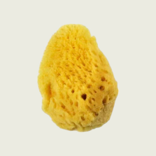 Royal & Langnickel Artist Sea Silk Sponge - Various sizes