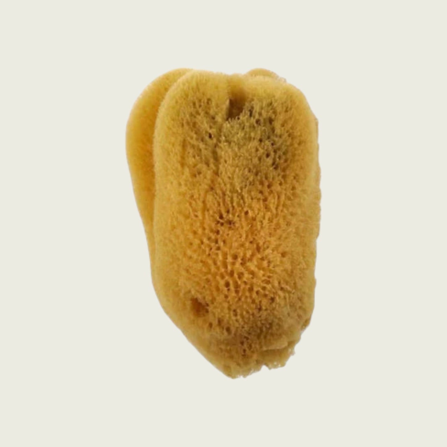 Royal & Langnickel Artist Sea Silk Sponge - Various sizes